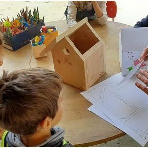 Attività progetto Il Nido